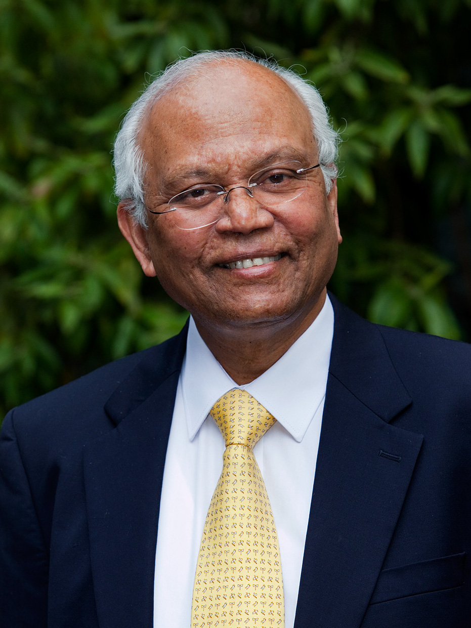 Raghunath Mashelkar